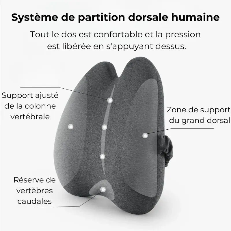 DOSEL™  l Coussin Lombaire de Soulagement du Dos