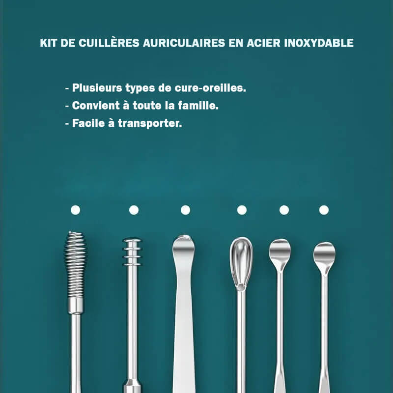 Kit de Cuillères Auriculaires en Acier Inoxydable